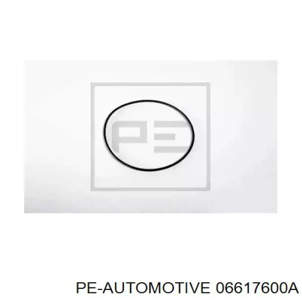  06617600A PE Automotive