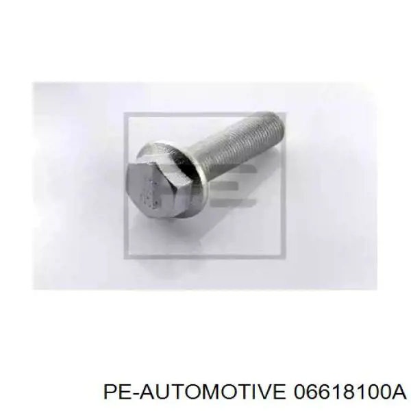  06618100A PE Automotive