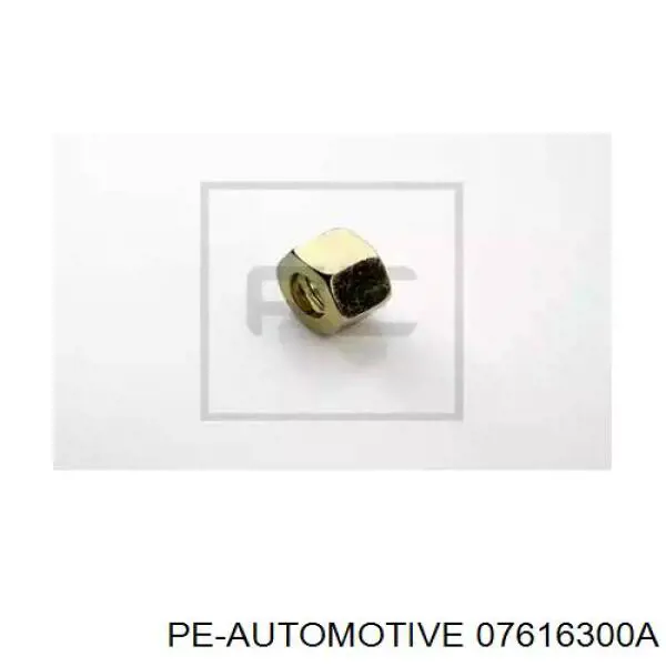 07616300A PE Automotive 