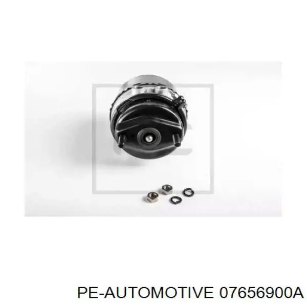 07656900A PE Automotive камера тормозная (энергоаккумулятор)