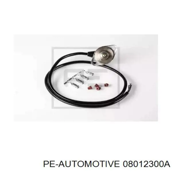 08012300A PE Automotive датчик давления топлива