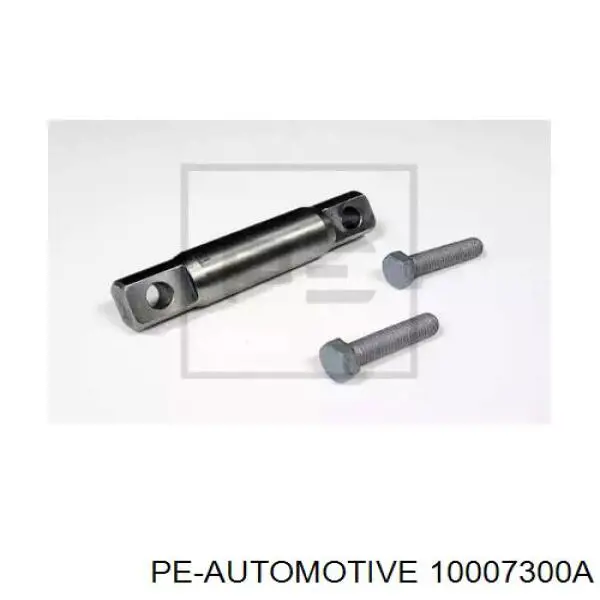  10007300A PE Automotive