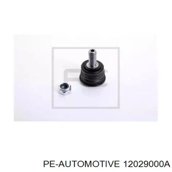  12029000A PE Automotive