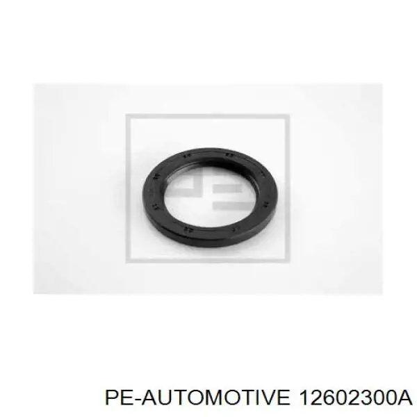  12602300A PE Automotive