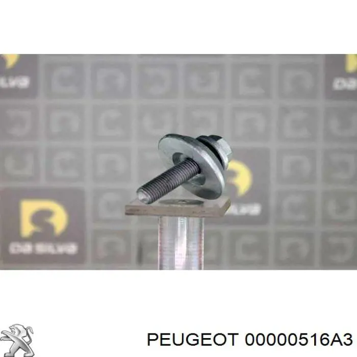 00000516A3 Peugeot/Citroen болт шкива коленвала