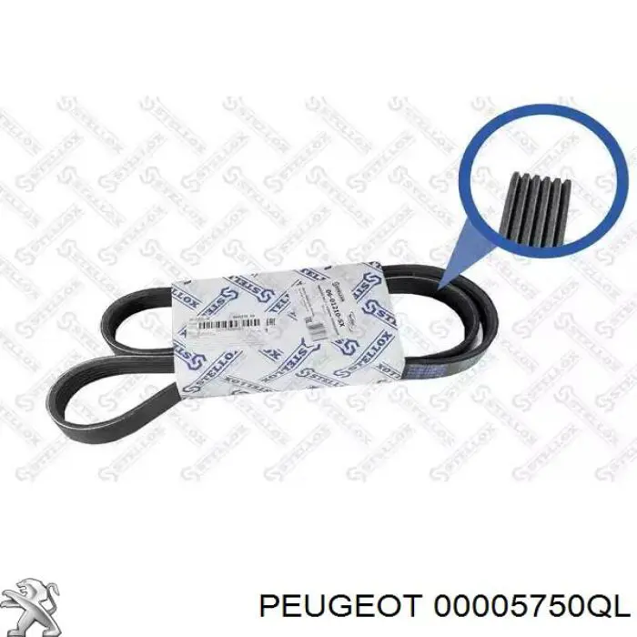 00005750QL Peugeot/Citroen ремень генератора