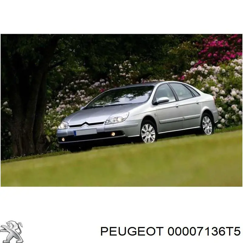 Подкрылок крыла переднего правый передний Peugeot/Citroen 00007136T5 цена, от 13.62 USD