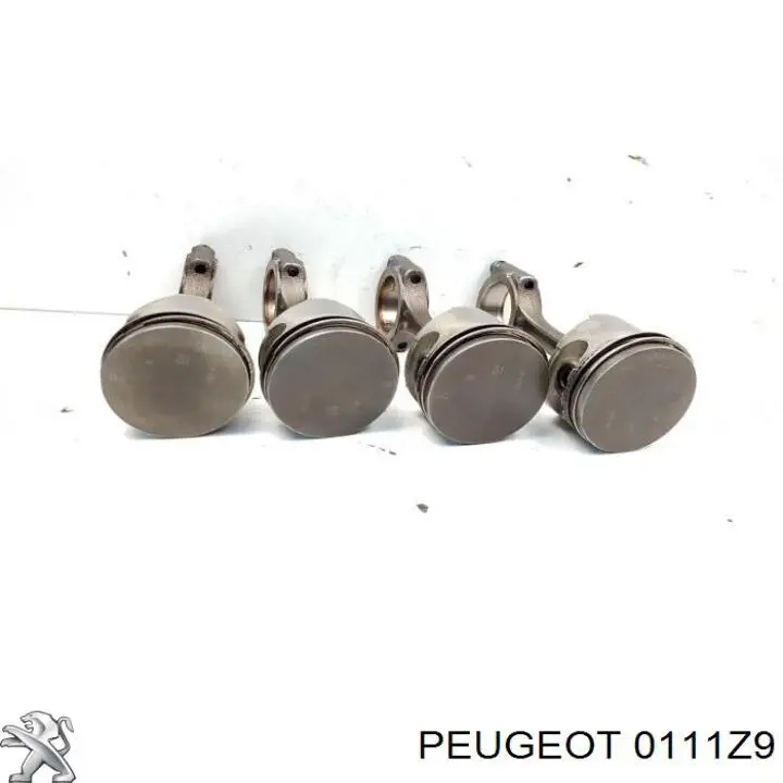 0111Z9 Peugeot/Citroen комплект поршневой (поршень + гильза)