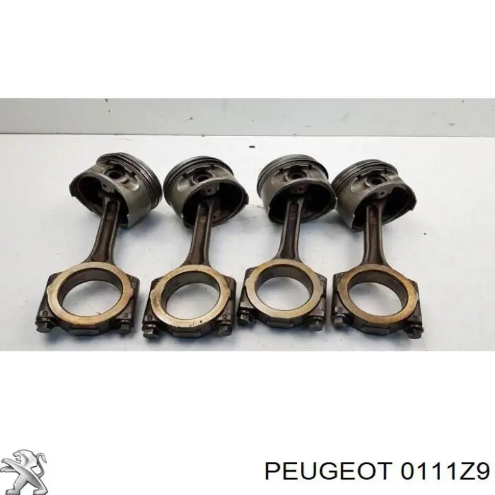 Комплект поршневой (поршень + гильза) Peugeot/Citroen 0111Z9 цена, от 35.24 USD