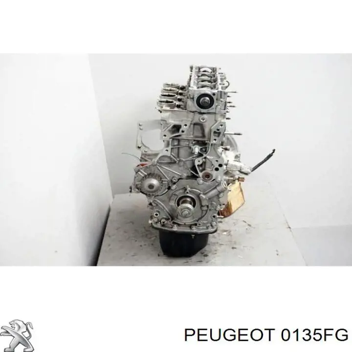 0135FG Peugeot/Citroen Мотор в сборе