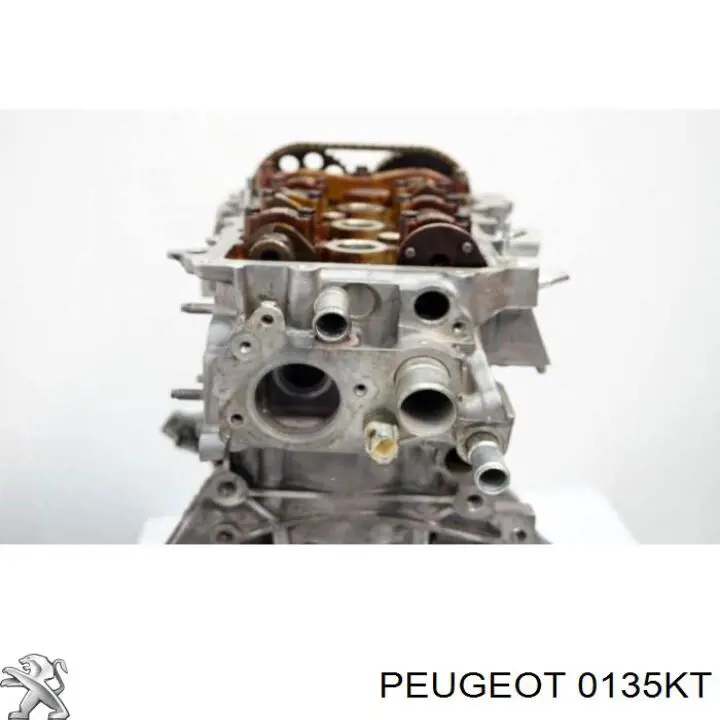 0135KT Peugeot/Citroen motor montado
