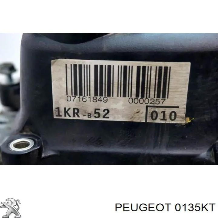 0135KT Peugeot/Citroen Мотор в сборе