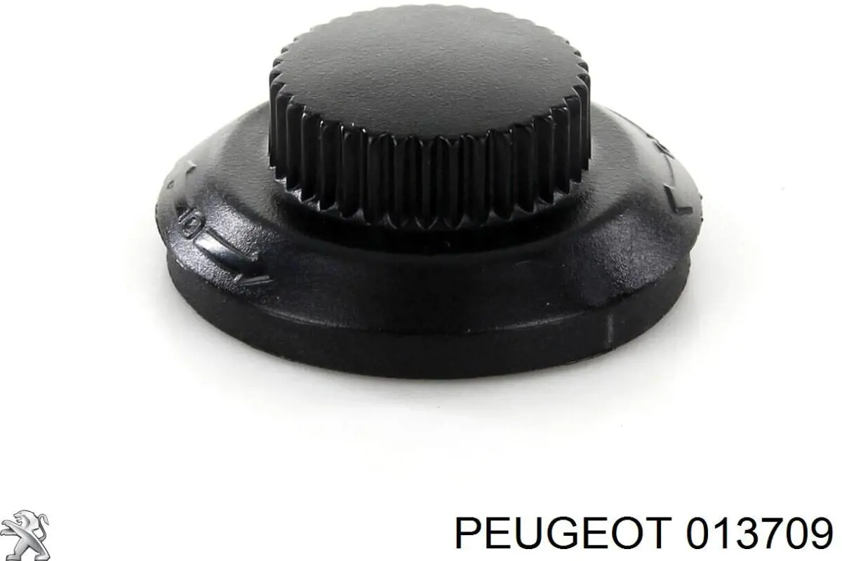 013709 Peugeot/Citroen