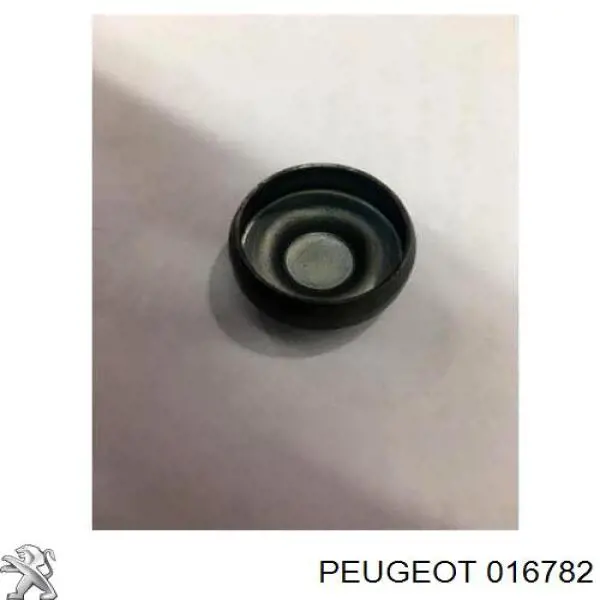 Tampão CBC/do bloco de cilindros Peugeot 406  8B