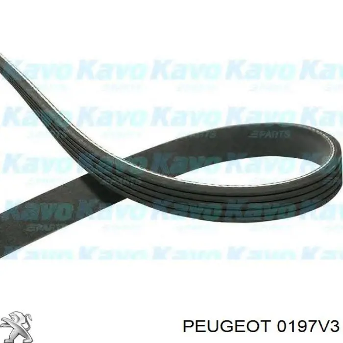 Верхний комплект прокладок двигателя Fiat/Alfa/Lancia 71737128 цена, от 20.51 USD