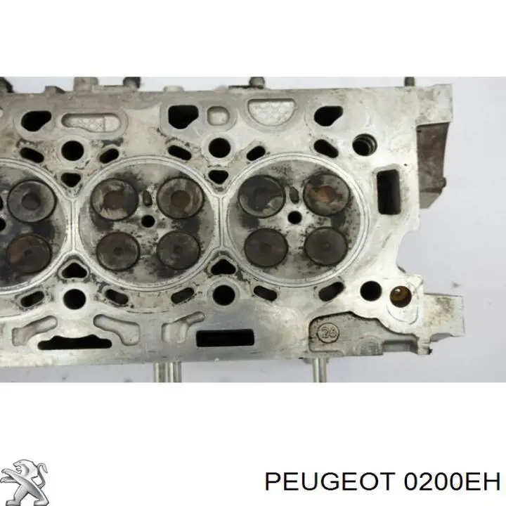 Головка Peugeot/Citroen 0200EH