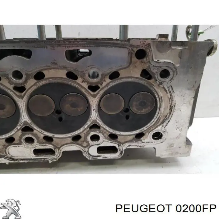 Головка Peugeot/Citroen 0200FP