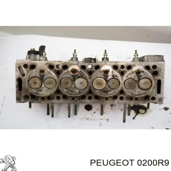 0200R9 Peugeot/Citroen головка блока цилиндров (гбц)