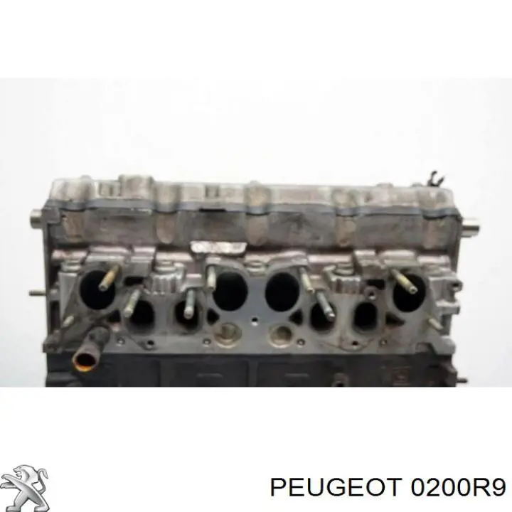 Купить 0200R9 Peugeot/Citroen ГБЦ  двигателя