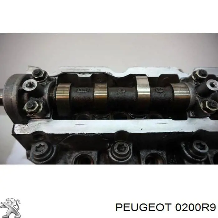 ГБЦ 0200R9 Peugeot/Citroen