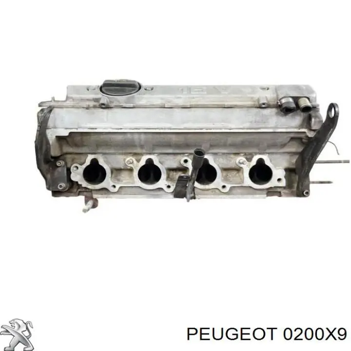 Головка блока цилиндров 0200X9 Peugeot/Citroen