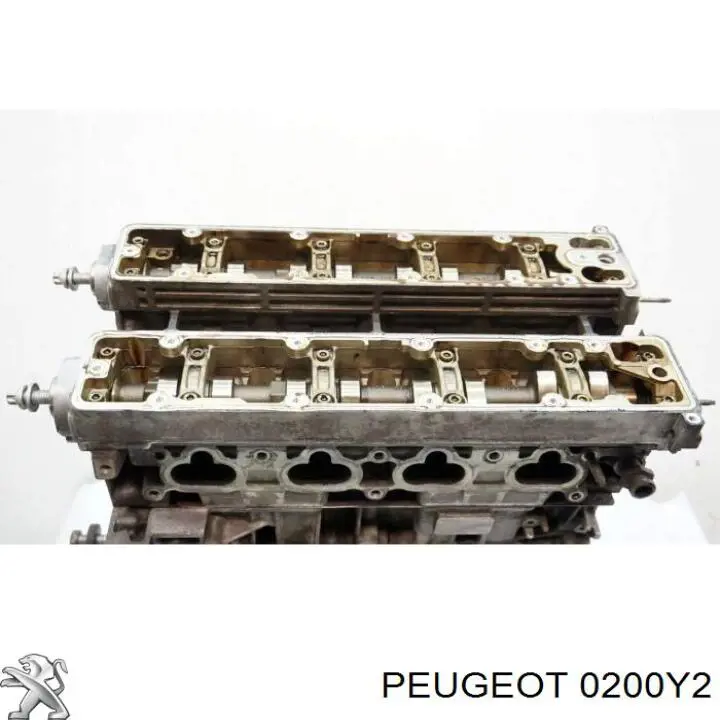 Головка Peugeot/Citroen 0200Y2