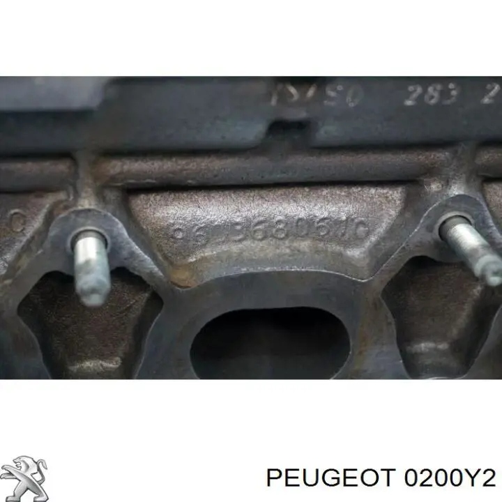 0200Y2 Peugeot/Citroen Головка блока цилиндров