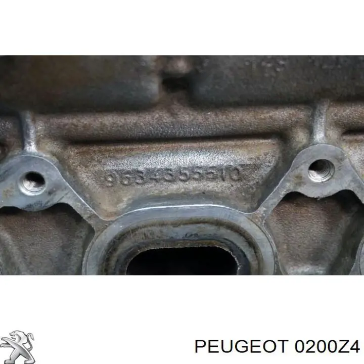Головка Peugeot/Citroen 0200Z4
