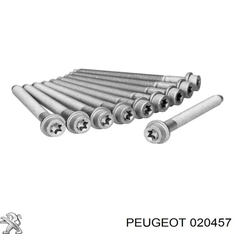 Болт головки блока цилиндров (ГБЦ) на Peugeot J5 280 P