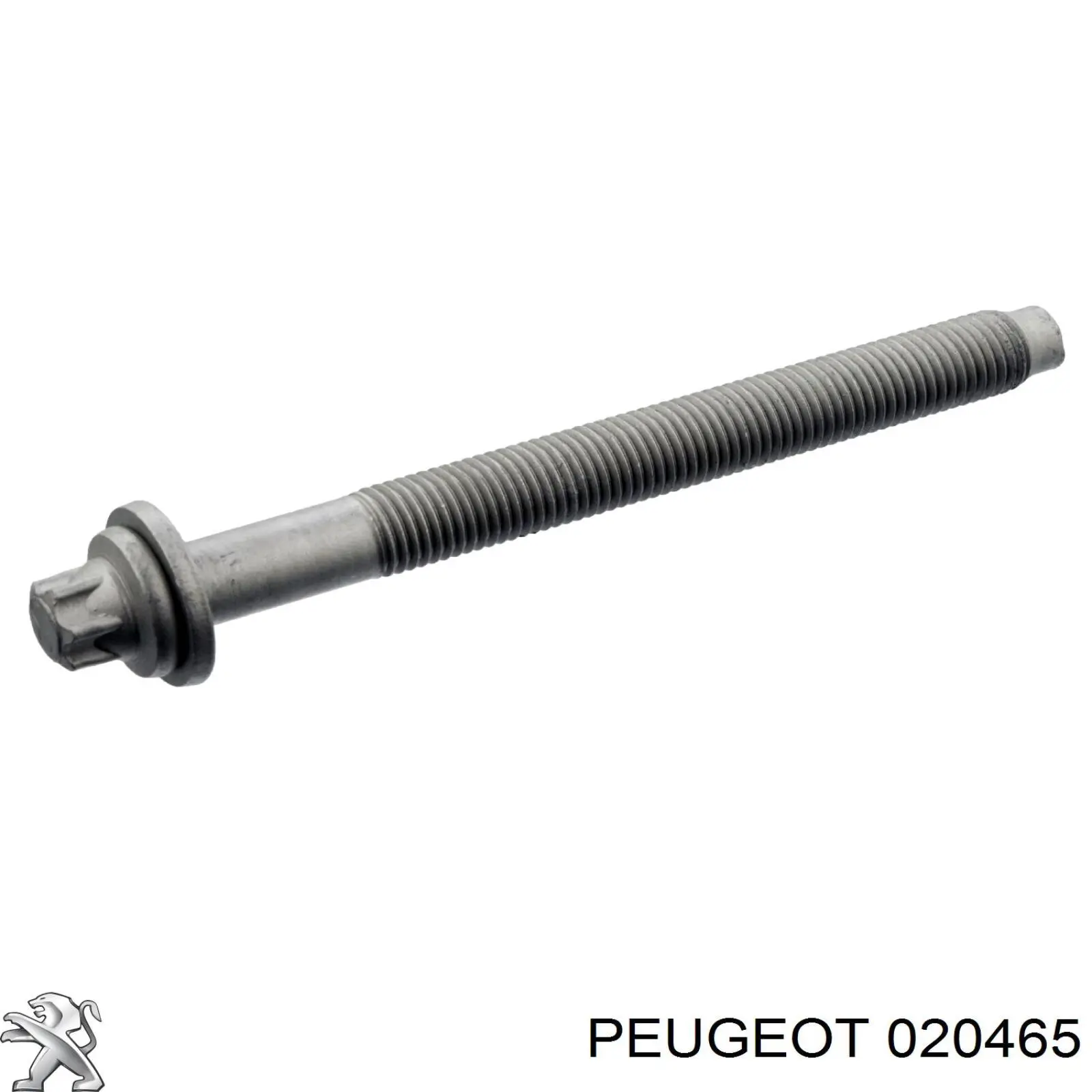 Болт головки блока цилиндров, ГБЦ Peugeot/Citroen 020465 цена, от 23.72 USD