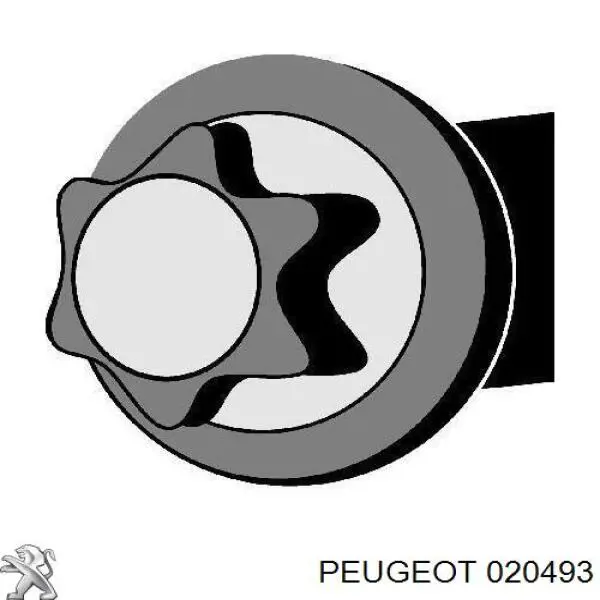 Болт головки блока цилиндров, ГБЦ Peugeot/Citroen 020493 цена, от 33.89 USD