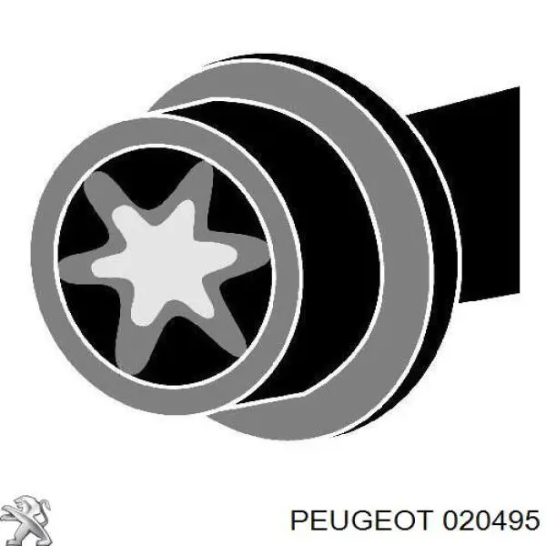 0000020495 Peugeot/Citroen болт гбц