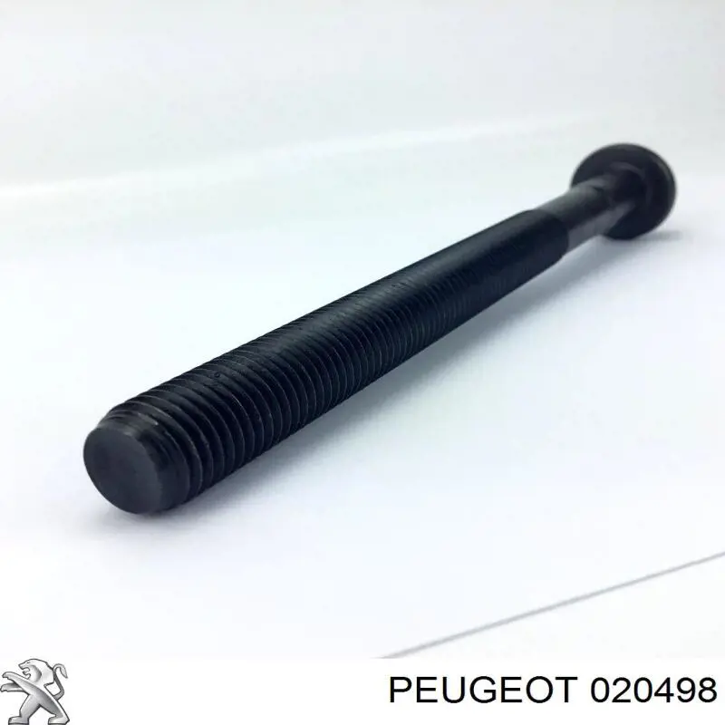 Купить 020498 Peugeot/Citroen Болт ГБЦ