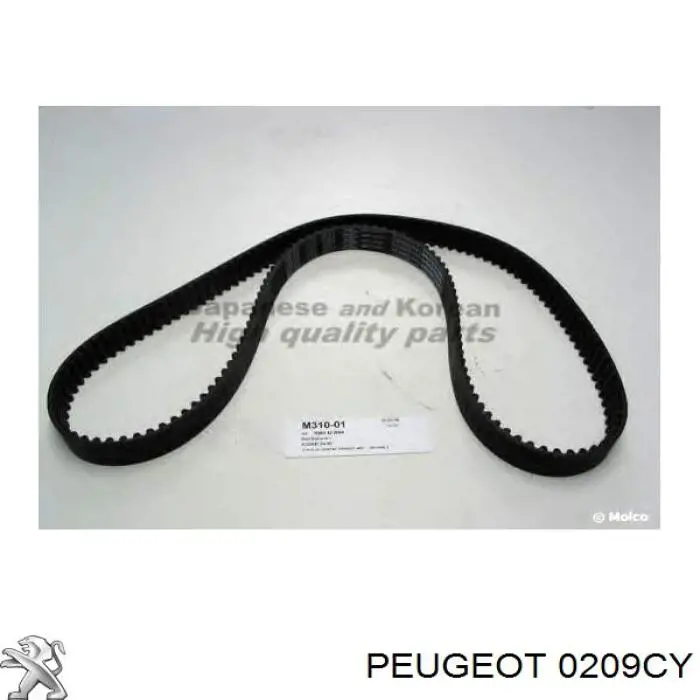 Прокладка головки блока цилиндров Peugeot/Citroen 0209CY