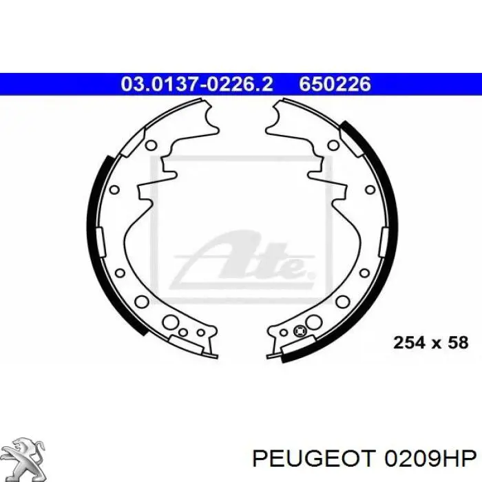 Прокладка головки блока цилиндров Peugeot/Citroen 00000209HP