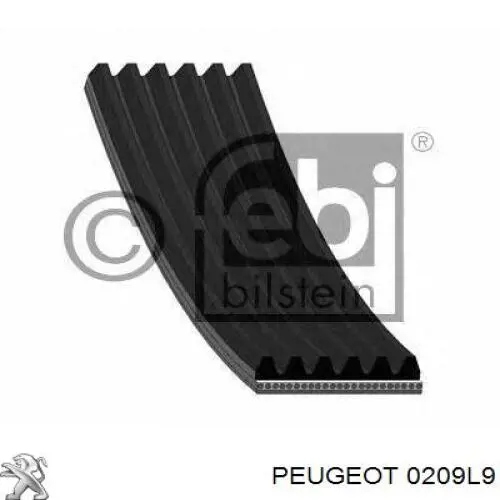 Купить 0209L9 Peugeot/Citroen Прокладка ГБЦ