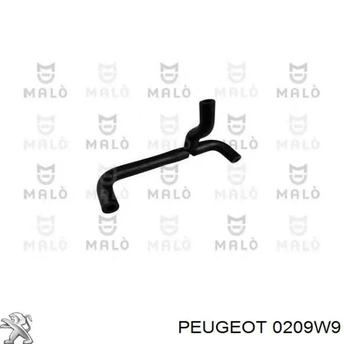 Прокладка головки блока цилиндров Peugeot/Citroen 0209W9