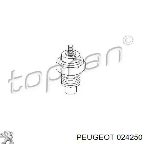 024250 Peugeot/Citroen датчик температуры охлаждающей жидкости