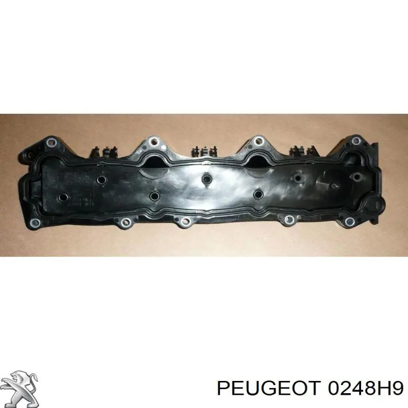 0248H9 PEUGEOT Tapa De Valvula Derecha original y equivalente