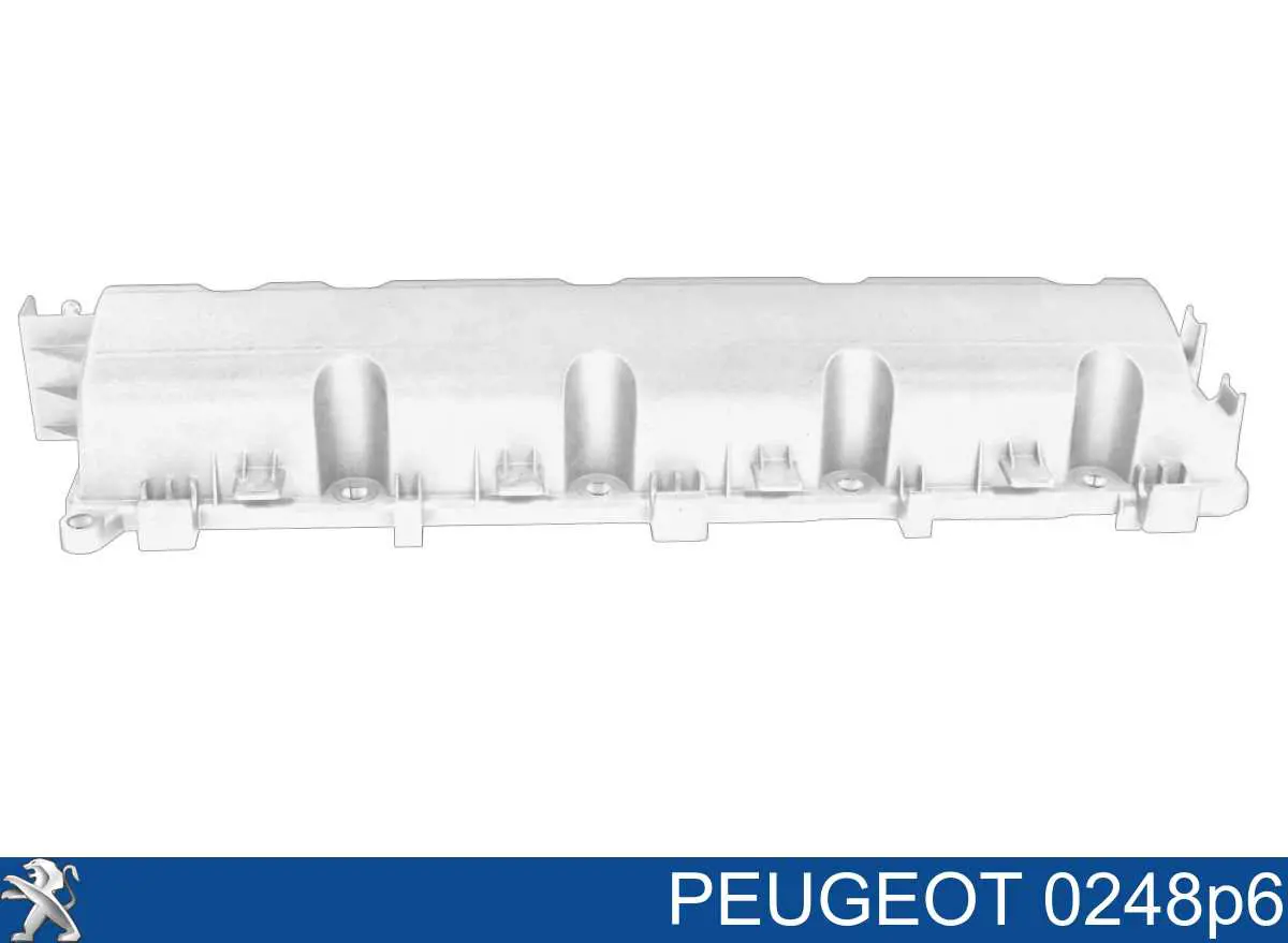 Крышка клапанная Peugeot/Citroen 0248P6