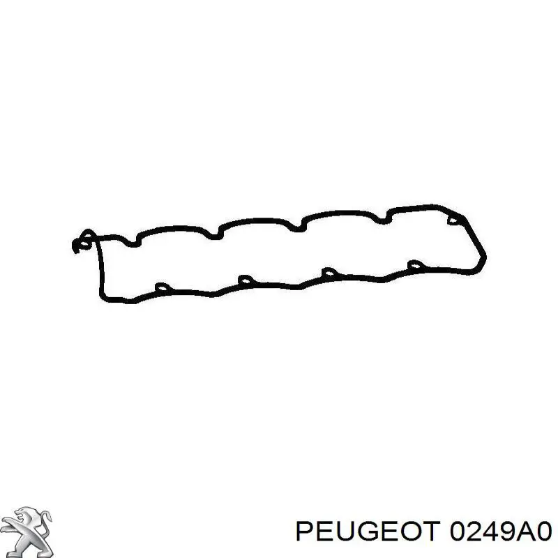 0249A0 Peugeot/Citroen прокладка клапанной крышки