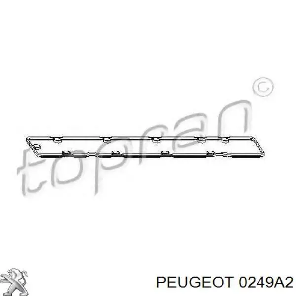 0249A2 Peugeot/Citroen прокладка клапанной крышки двигателя левая