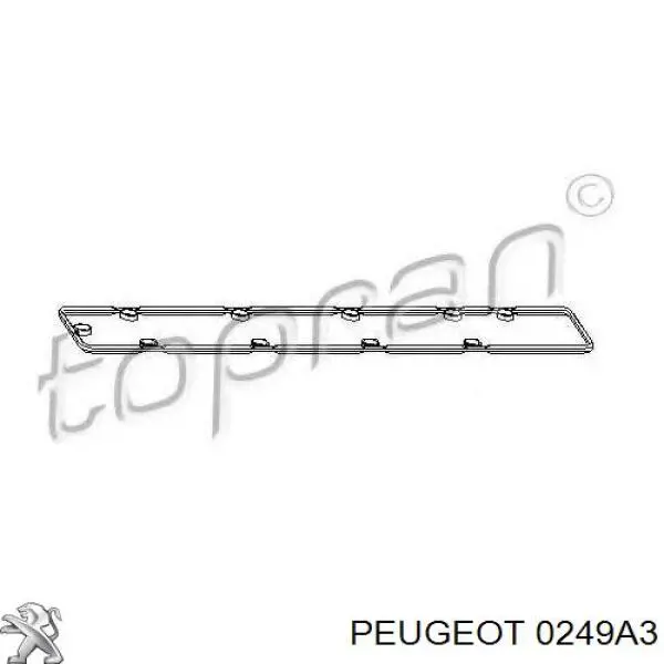 0249A3 Peugeot/Citroen прокладка клапанной крышки двигателя правая