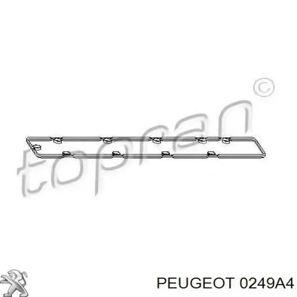 Прокладка клапанної кришки, ліва 0249A4 Peugeot/Citroen