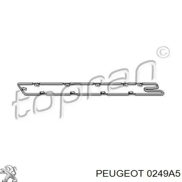 0249A5 Peugeot/Citroen прокладка клапанной крышки двигателя правая