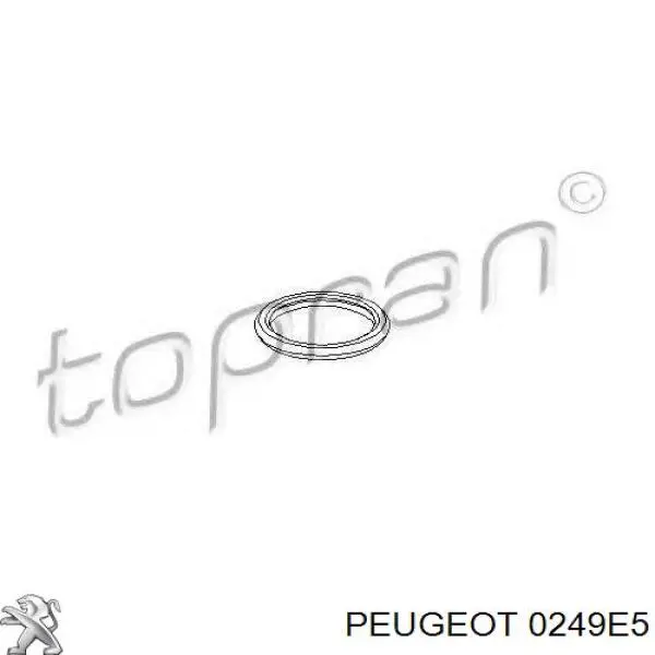 0249E5 Peugeot/Citroen прокладка клапанной крышки двигателя, кольцо