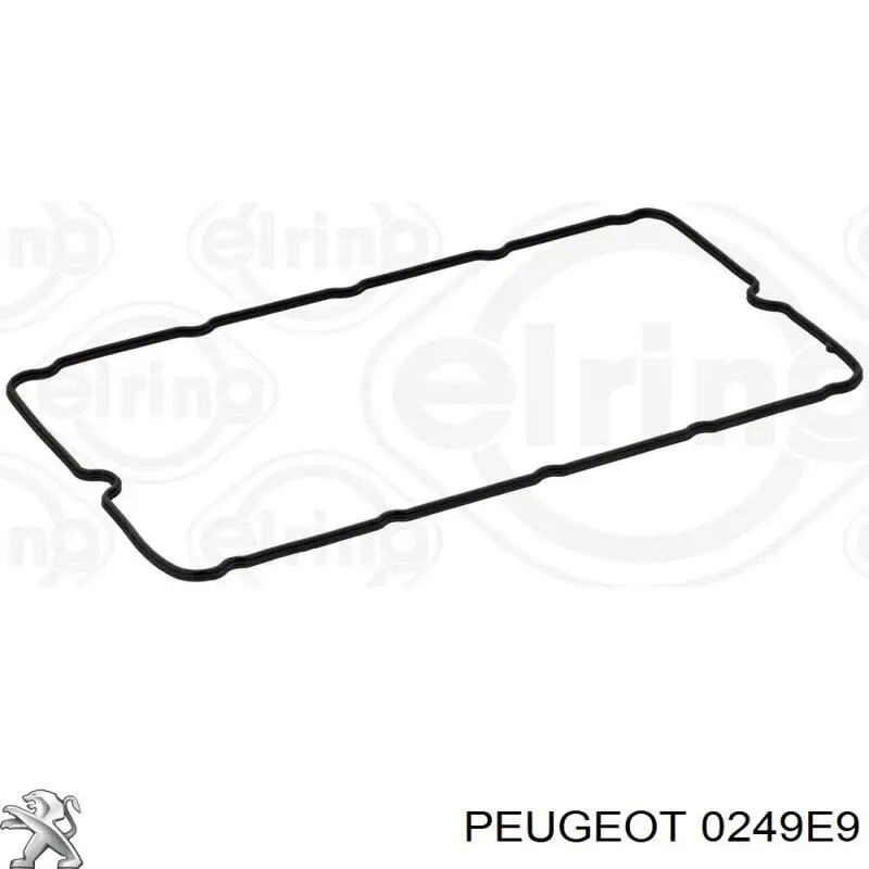 0249E9 Peugeot/Citroen прокладка клапанной крышки