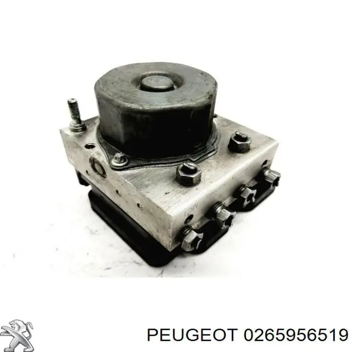 0265956519 Fiat/Alfa/Lancia 