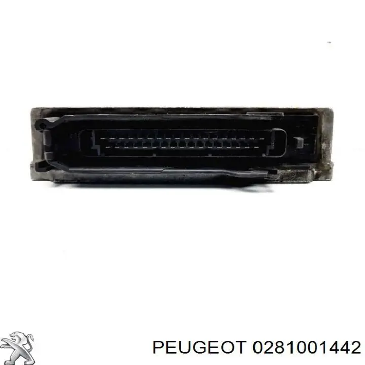  19295F Peugeot/Citroen