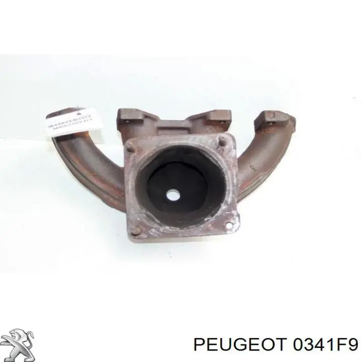 0341F9 Peugeot/Citroen Система выпуска газов двигателя
